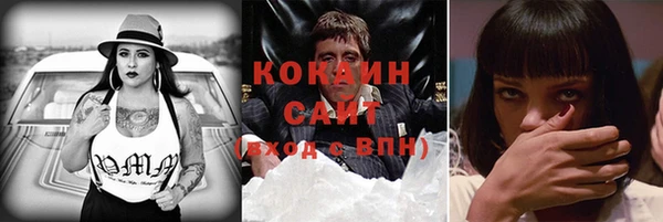 ПСИЛОЦИБИНОВЫЕ ГРИБЫ Арсеньев