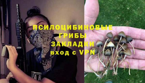 кокс Аркадак