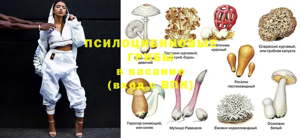 ПСИЛОЦИБИНОВЫЕ ГРИБЫ Арсеньев