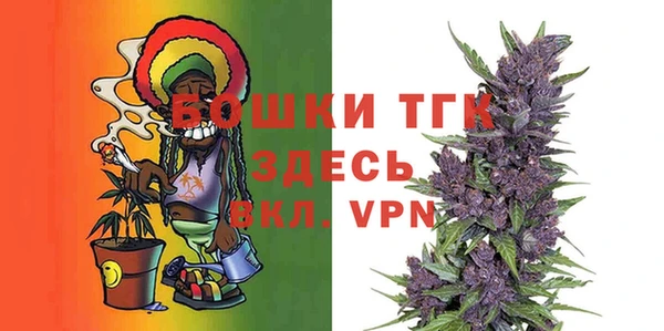 ПСИЛОЦИБИНОВЫЕ ГРИБЫ Арсеньев